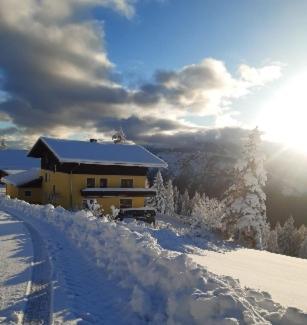Kohlegghof Aparthotel Schwemmberg Екстериор снимка